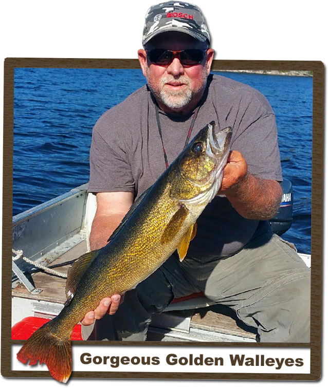 Fly-in Walleye Fishing Ontario North Outpost Camps
